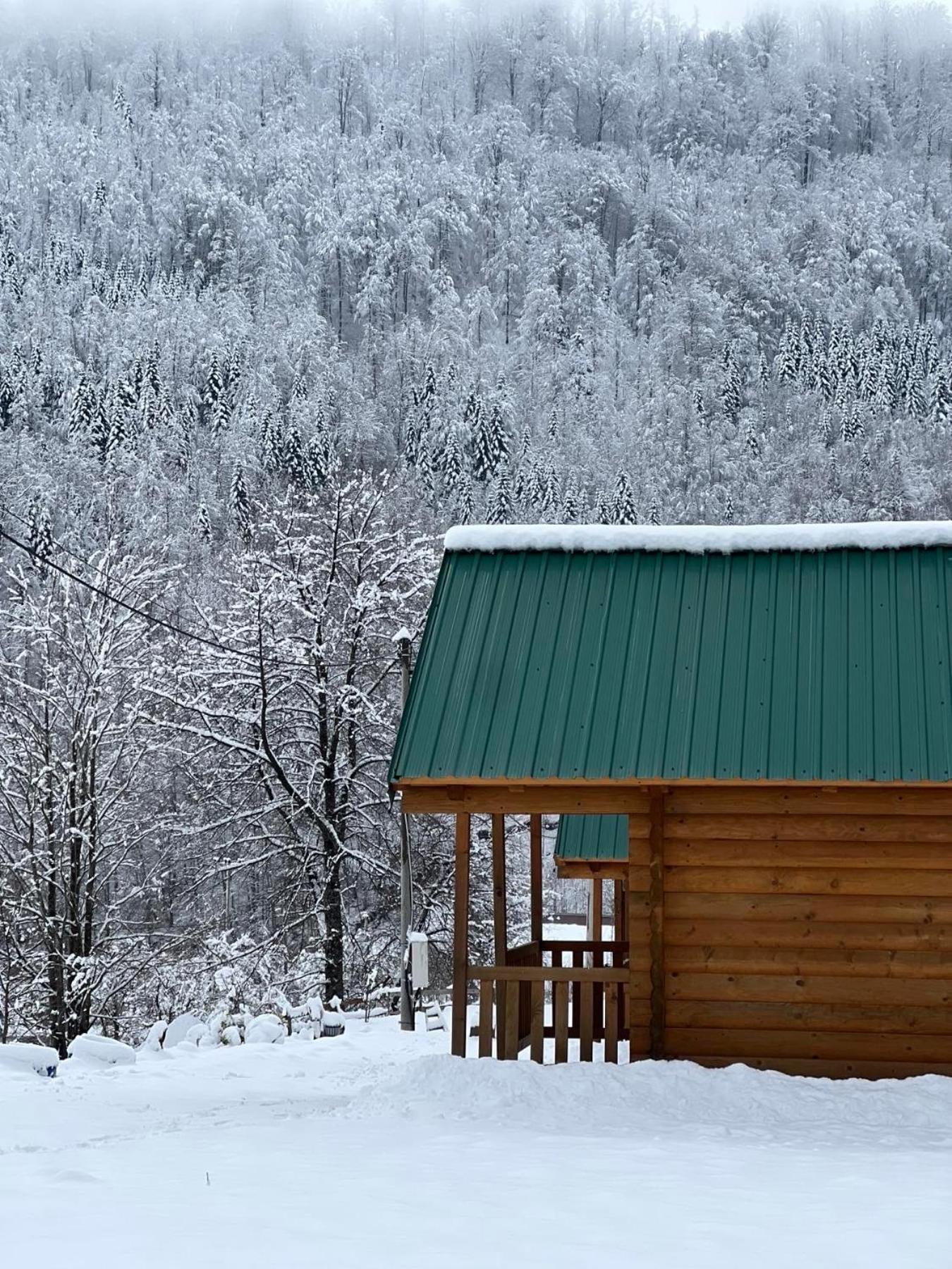 Вилла Matesevo Guest Hauses Колашин Экстерьер фото
